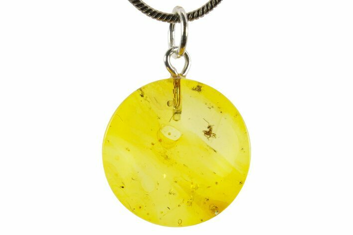 Polished Baltic Amber Pendant (Necklace) - Contains Ant! #367354